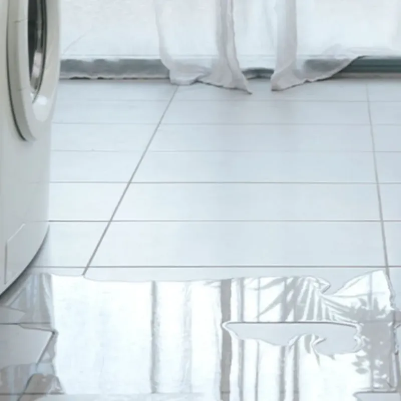 Appliance Leak Cleanup in Douglas County, NV
